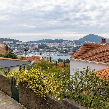 Marko Dubrovnik